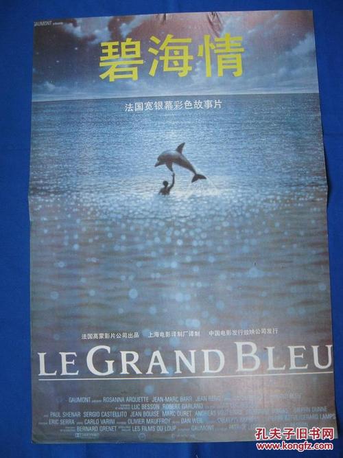 南安普敦城市学院文凭毕业证作假